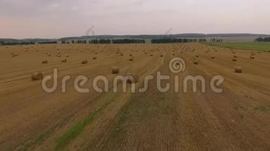 用干草草包飞越农作物小麦或黑麦地。 收获农业农场农村空中4k视频